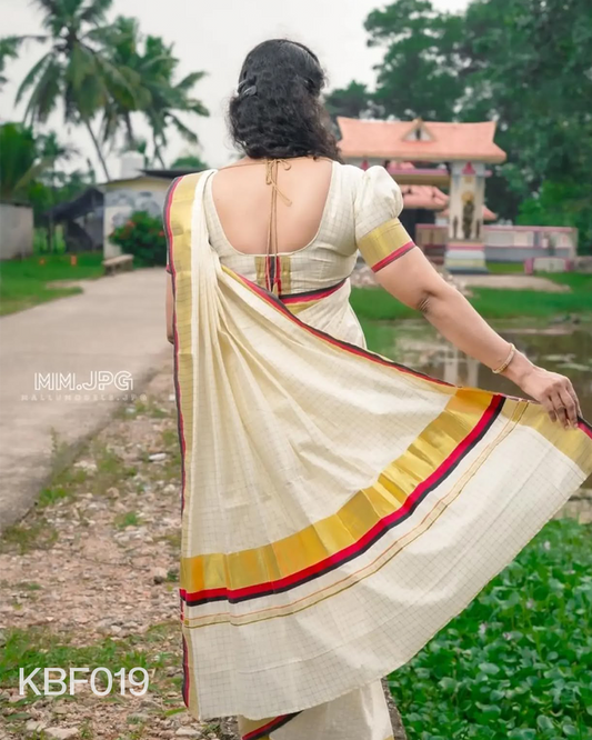 Red and Black border check cotton saree